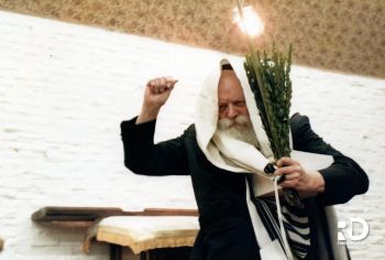 גוט יום טוב! חג סוכות שמח!